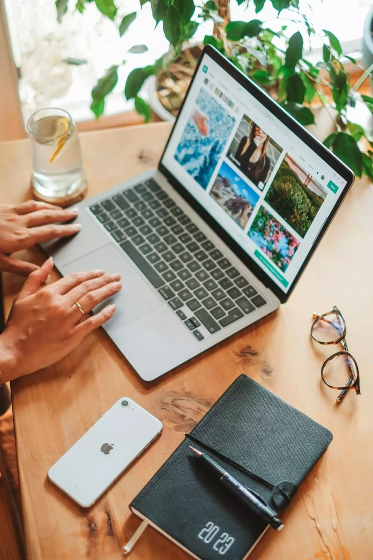 pexels-gulsahaydgn-17774935